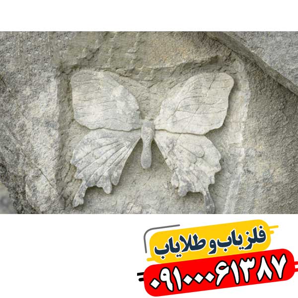 نماد پروانه در دفینه یابی 09100061387