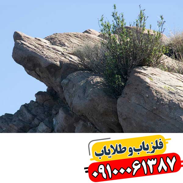 نماد گرگ در دفینه یابی 09100061387