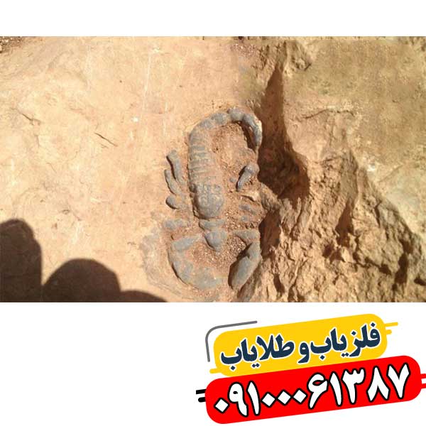 نماد عقرب در دفینه یابی 09100061387
