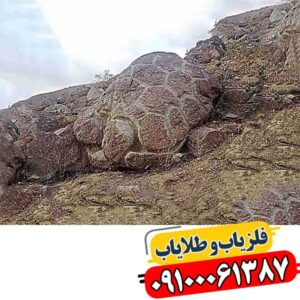 نماد لاکپشت در دفینه یابی 09100061387