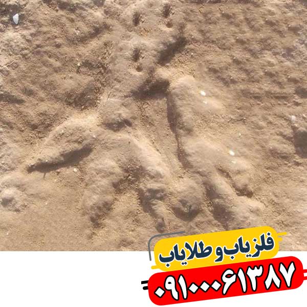 نماد پای مرغ در دفینه یابی 09100061387