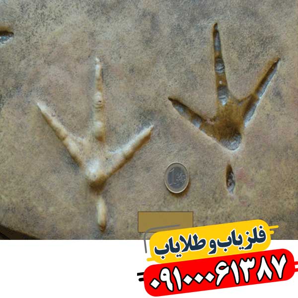 نماد پای مرغ در دفینه یابی 09100061387