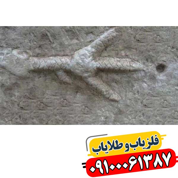 نماد پای مرغ در دفینه یابی 09100061387