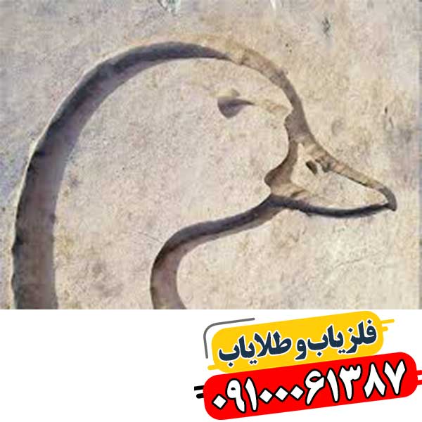 نماد اردک در دفینه یابی 09100061387