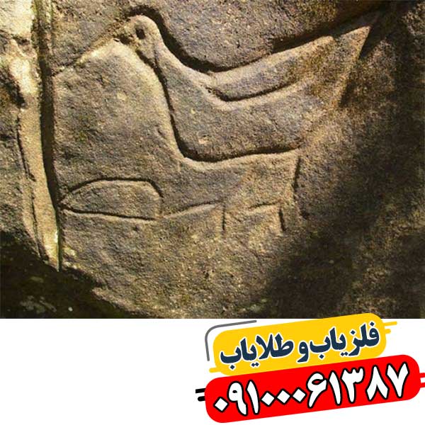 نماد مرغ در دفینه یابی 09100061387