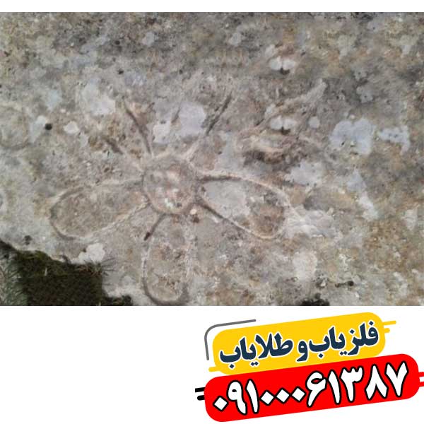 نماد گل در دفینه یابی 09100061387